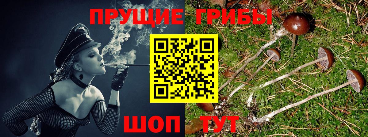 Галлюциногенные грибы ЛСД  Вход с VPN  наркошоп  Прокопьевск 