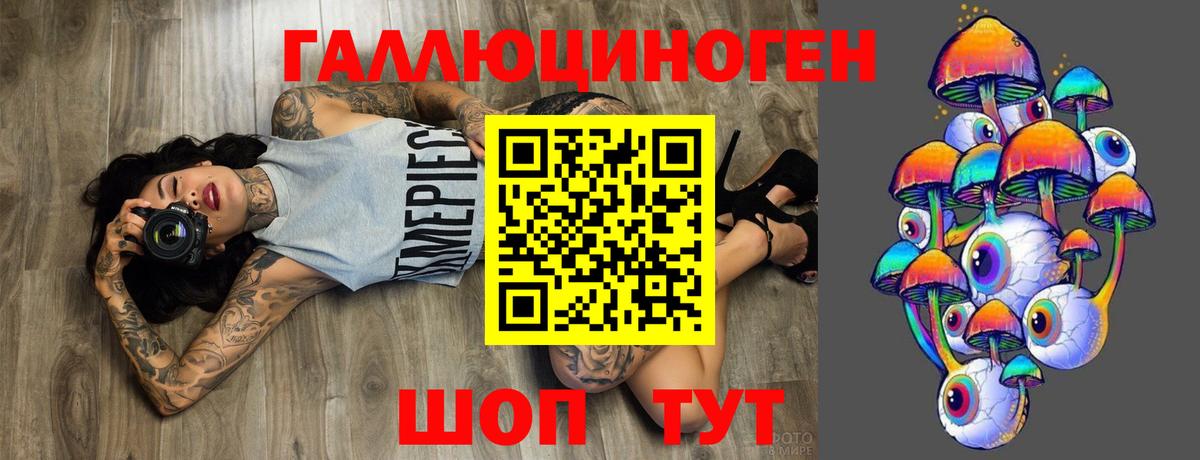 Псилоцибиновые грибы Psilocybe Прокопьевск